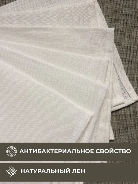 Набор льняных сервировочных салфеток на стол 6 шт. BLS1-7175-46623