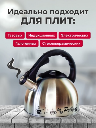 Чайник KC-2 + подарок (CHA-4735-02702-1)