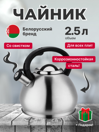 Чайник для плиты со свистком KC-6 + подарок (CHA-7529-75299)